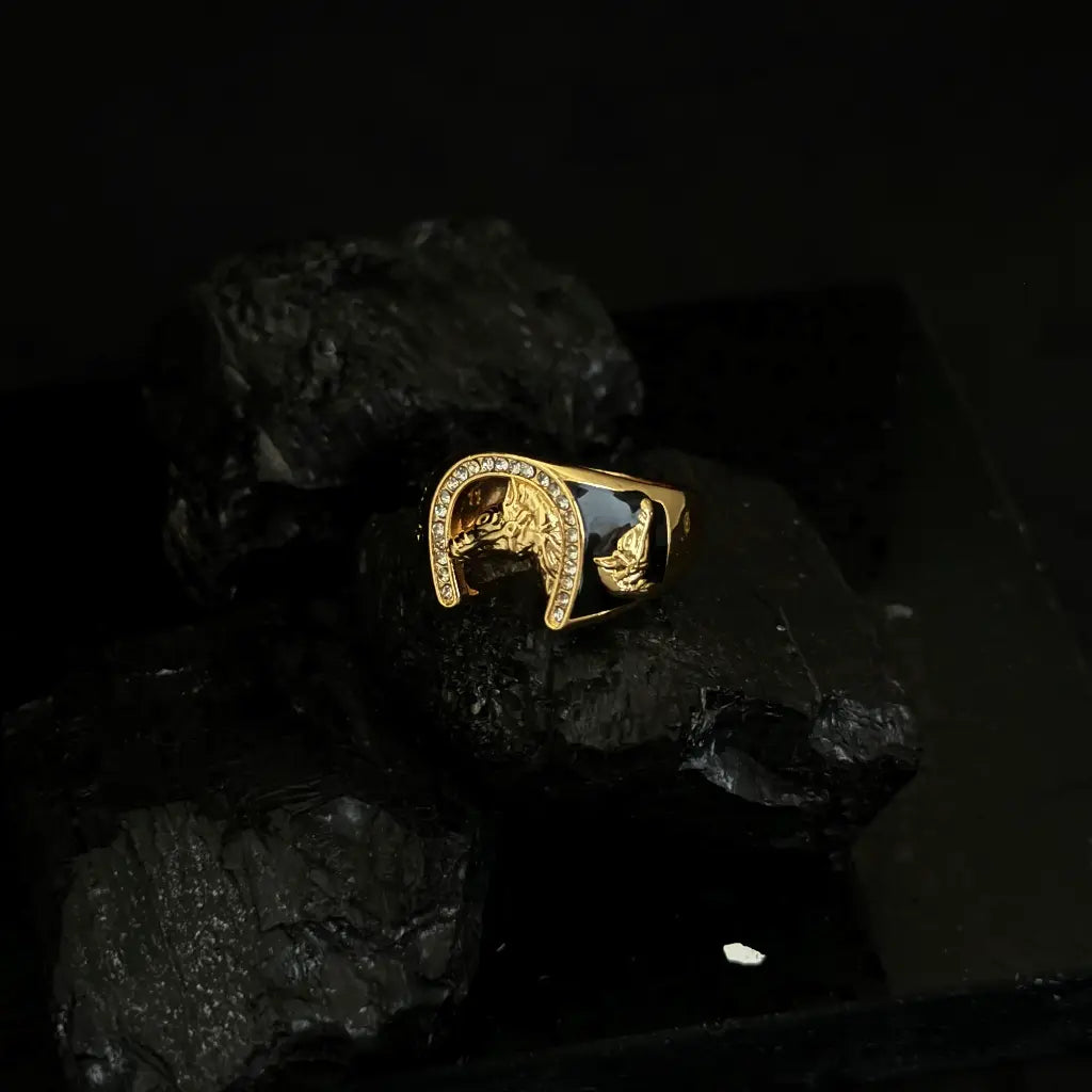 Anillo para Hombre De Caballo En Herradura Cristal de Laterales Negros + Envío Gratis