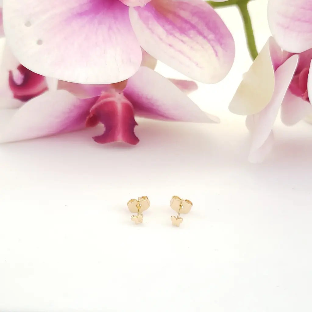 Topos De Mariposa Para Dama + Envío Gratis